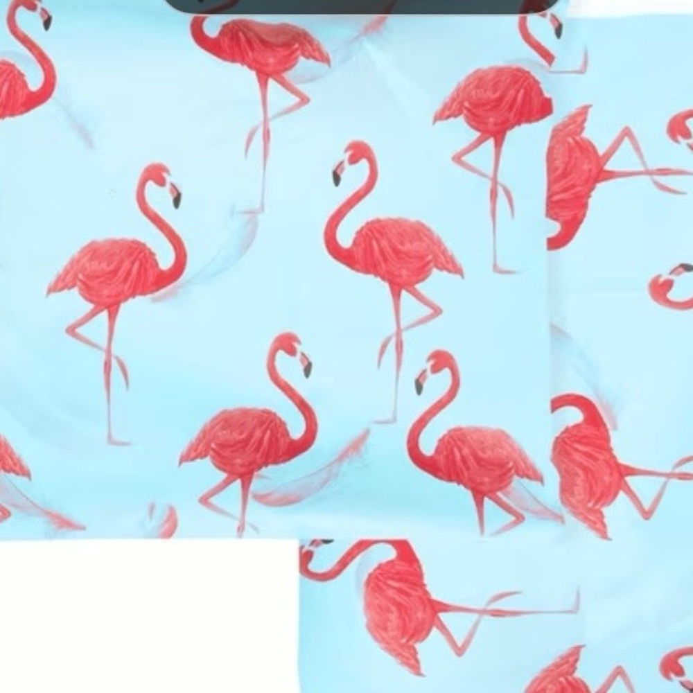 Flamingo & Feathers Polymailers & Gift Wrap Size: 10”x13” Quantity: 20 per set.